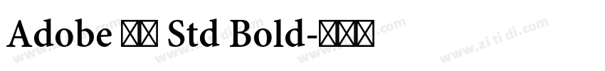 Adobe 宋体 Std Bold字体转换